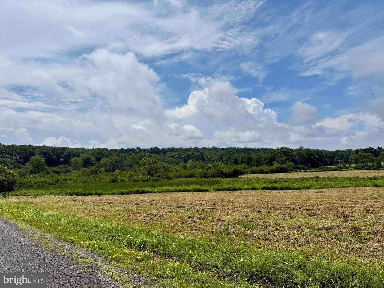  Sanders Lane - Photo 1