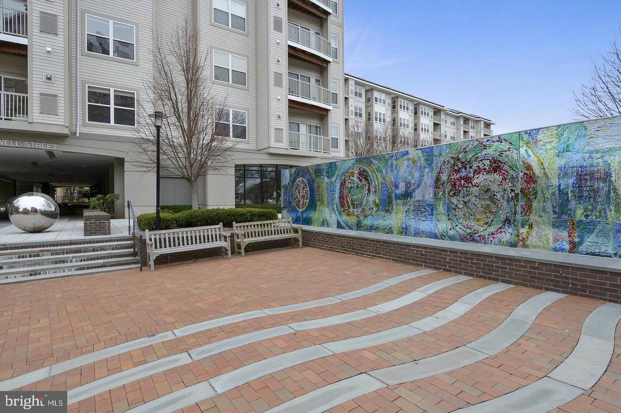 8045 Newell Street - Photo 1
