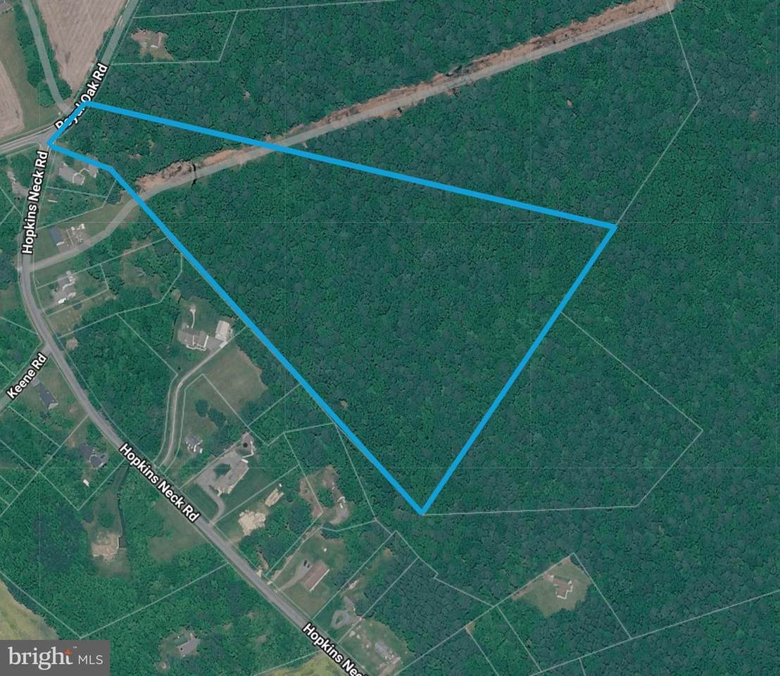 26383 Royal Oak Road - Photo 1