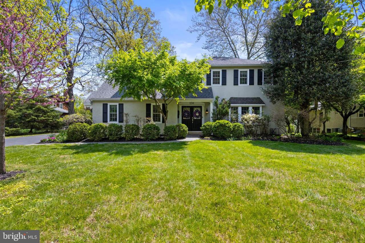 230 Beechtree Lane - Photo 1