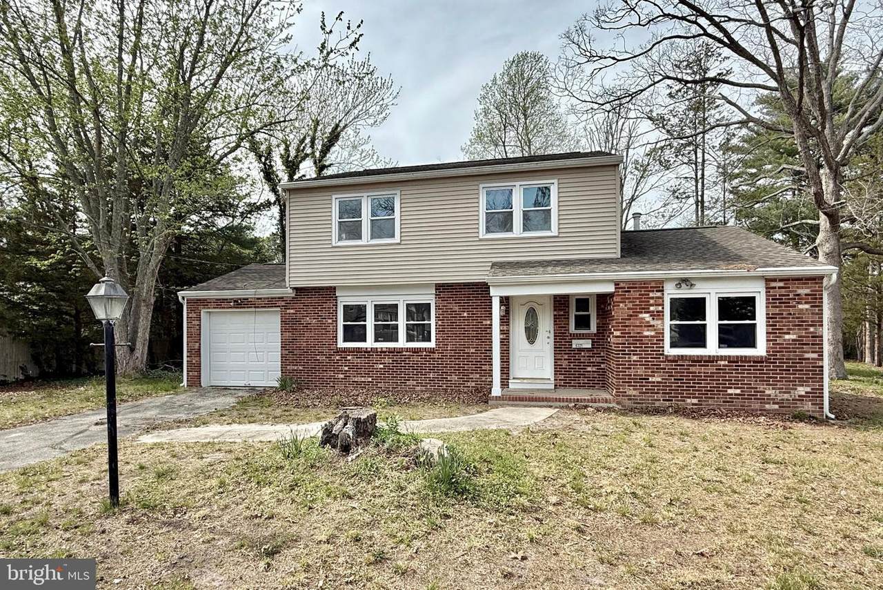 6321 Crocus Street - Photo 1
