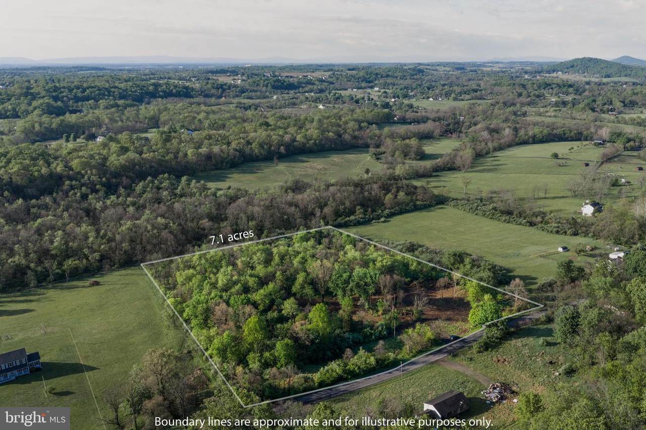 384 Frog Hollow - Photo 1