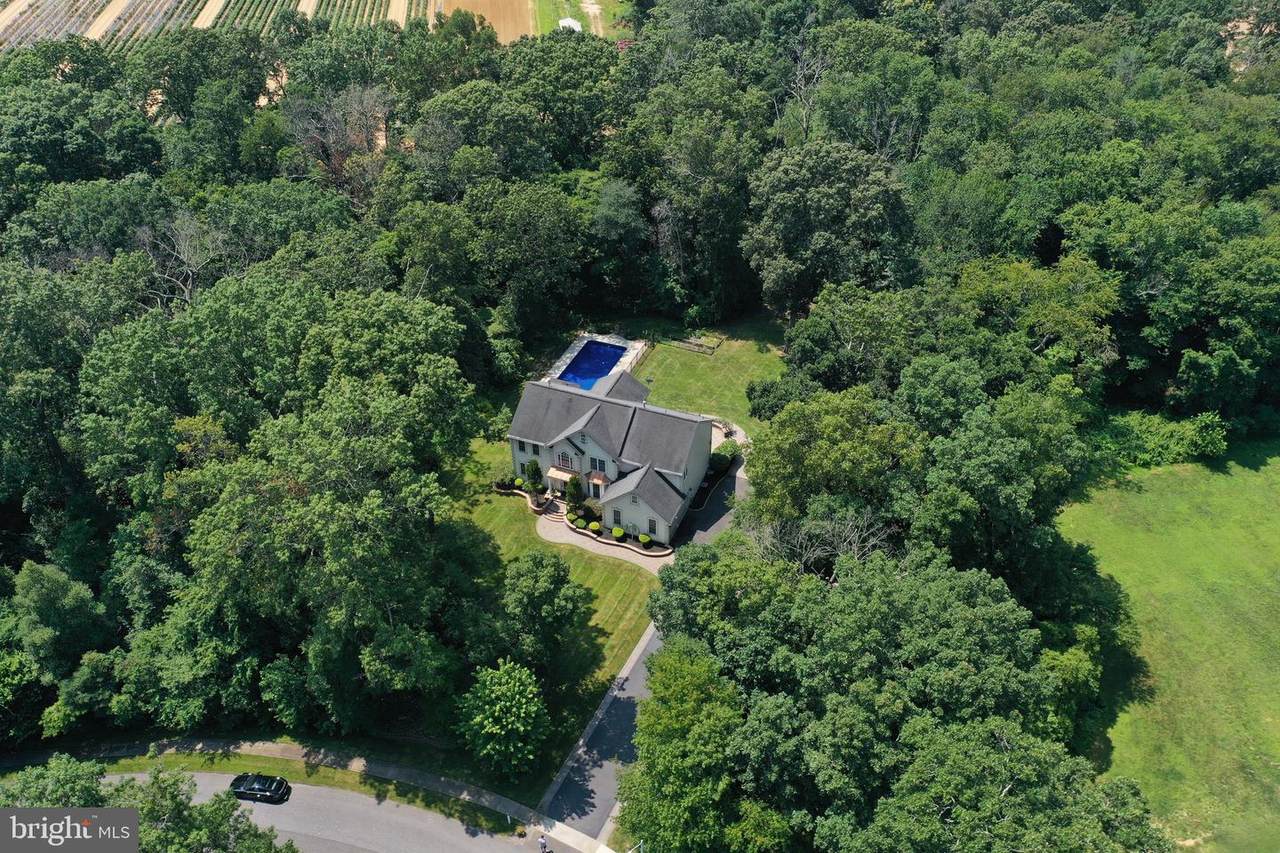 31 Harvest Drive - Photo 1