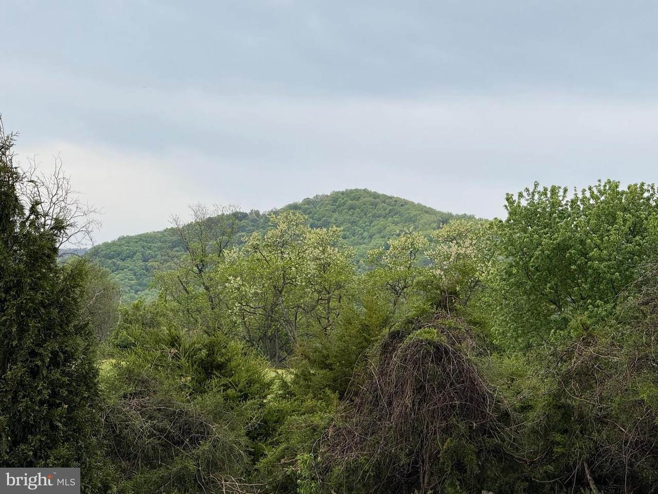Lot 72 Leola Loop - Photo 1