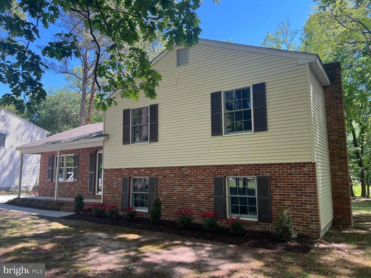 7219 Ranier Drive - Photo 1