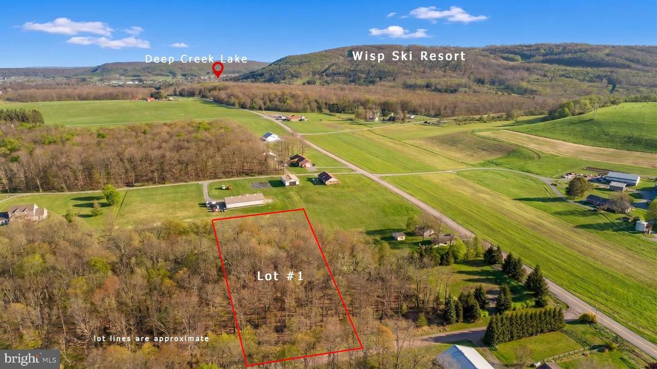 Lot 1 Aspen Woods Drive - Photo 1