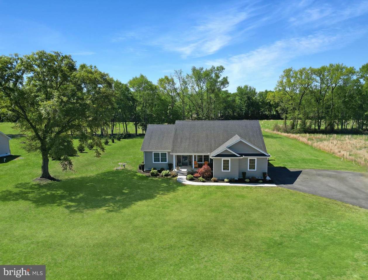34282 Cowhouse Branch Road - Photo 1