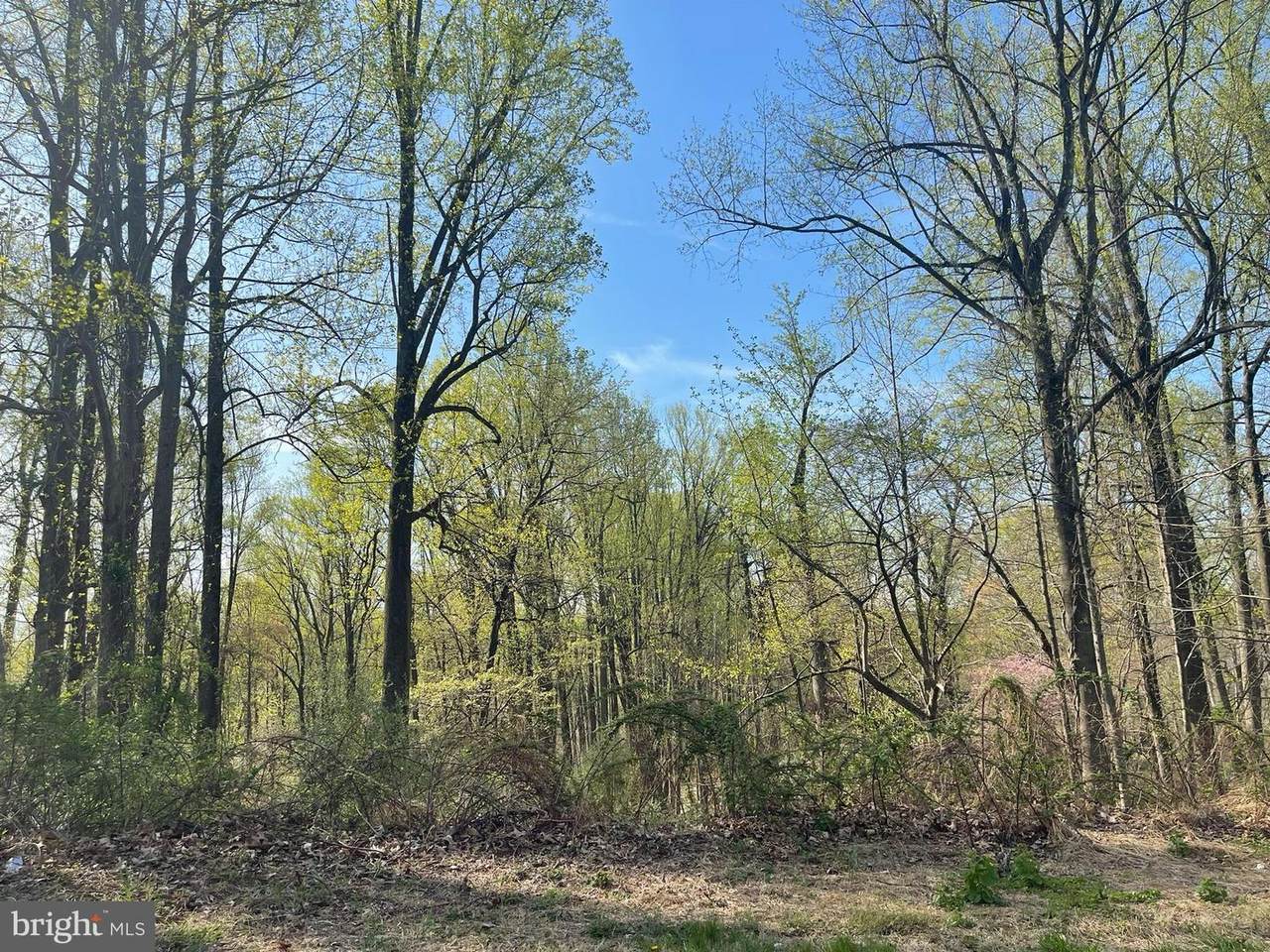 4107 Holbrook Road - Photo 1