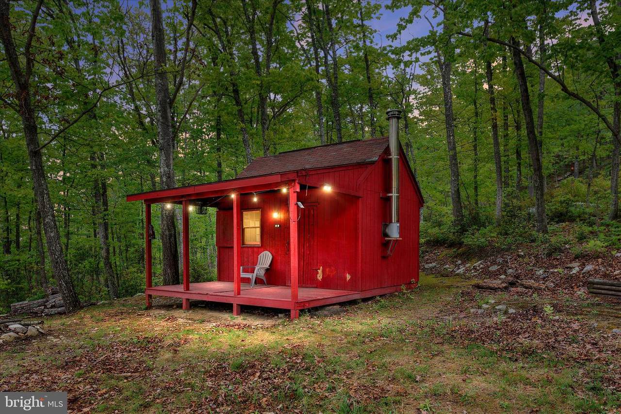 551 Sawlog - Photo 1