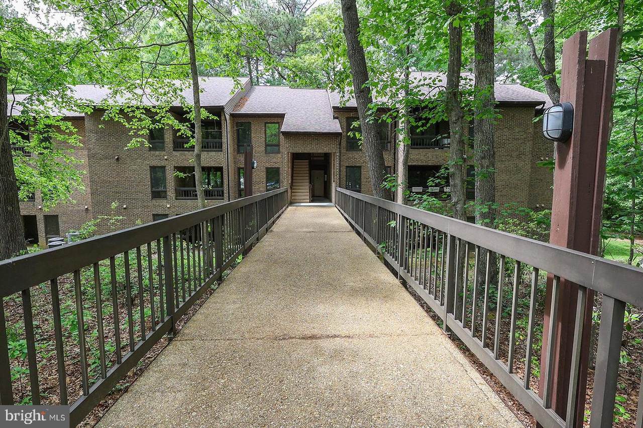 23313 Sugar Maple Court - Photo 1