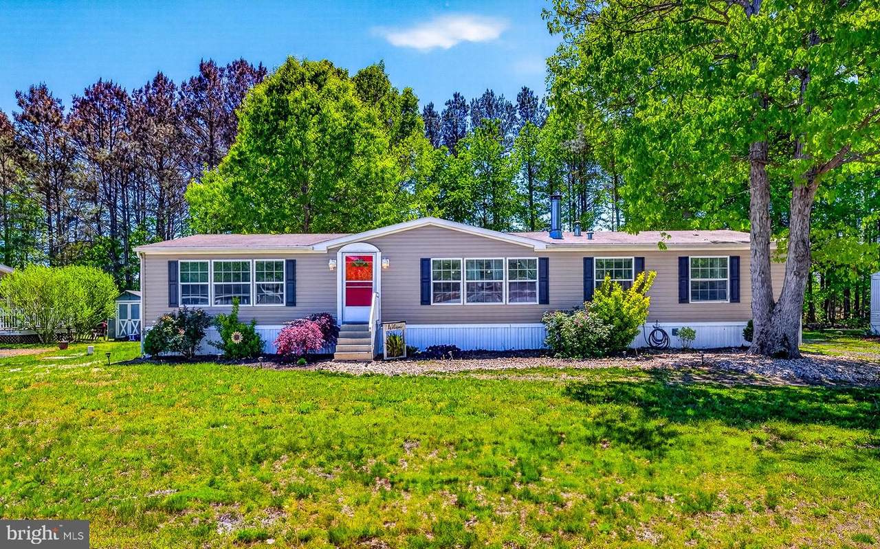 11634 Honeybee Lane - Photo 1