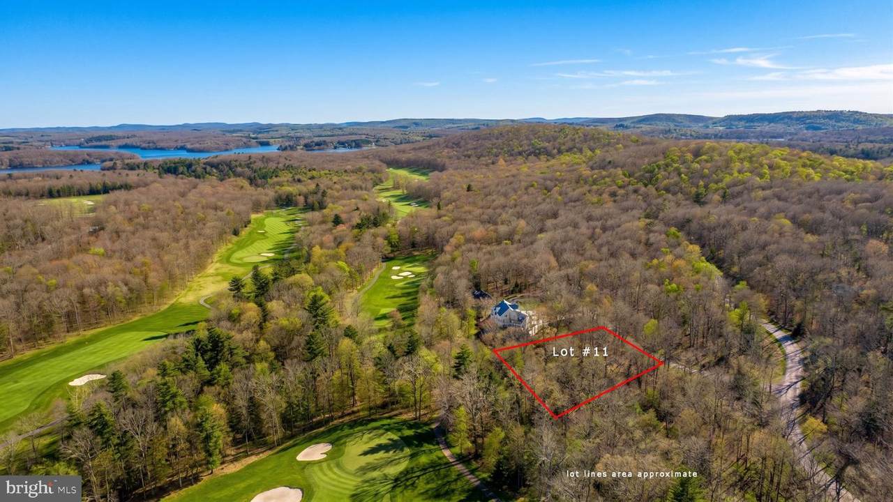 Lot 11 Poland Heights Lane - Photo 1