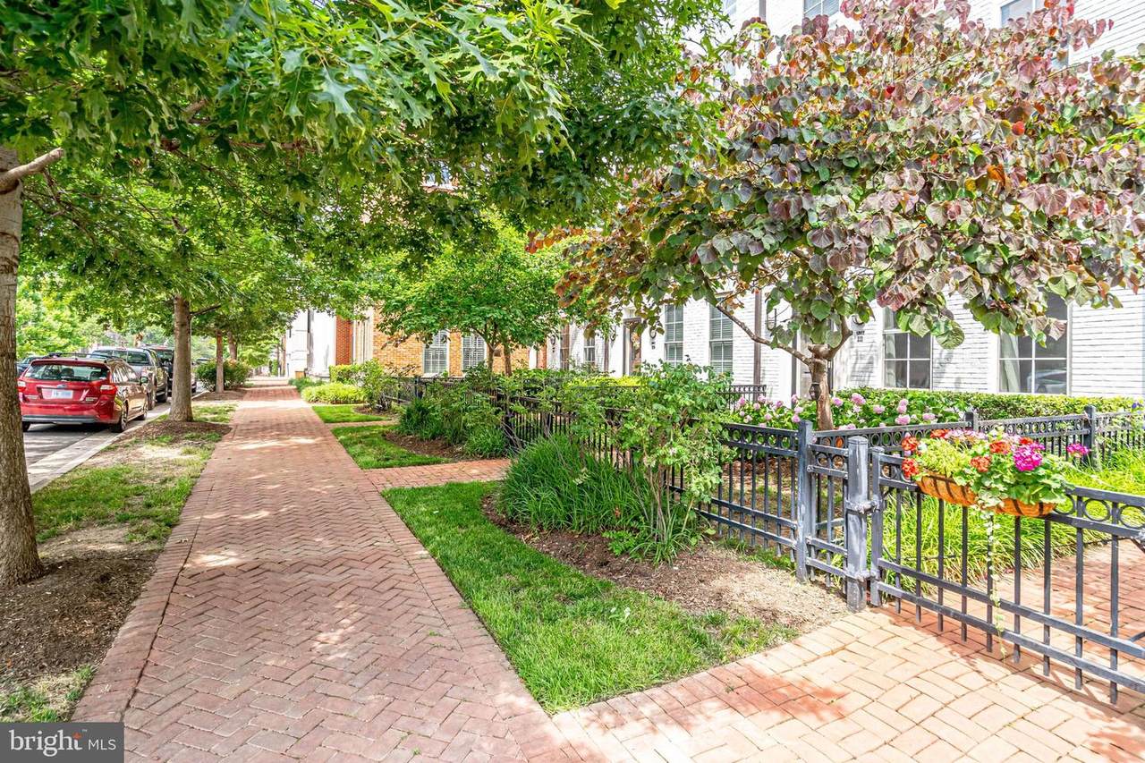 1023 Royal Street - Photo 1