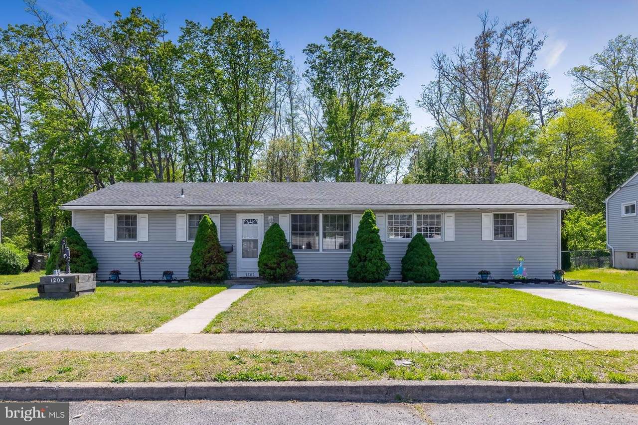 1203 Cedar Drive - Photo 1