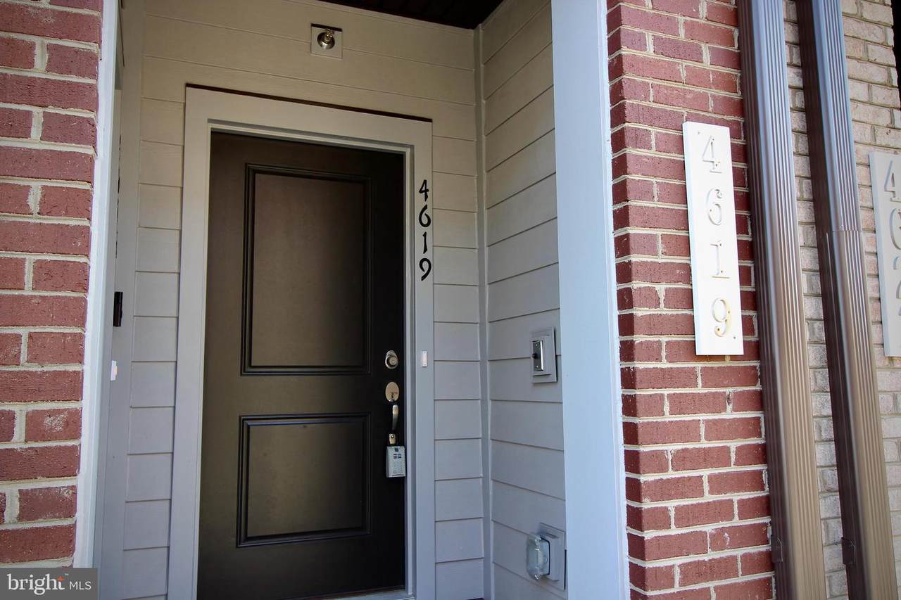 4619 Olivine Drive - Photo 1