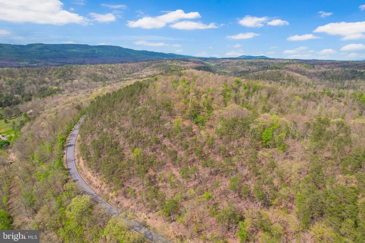  Bear Hill Road - Photo 1