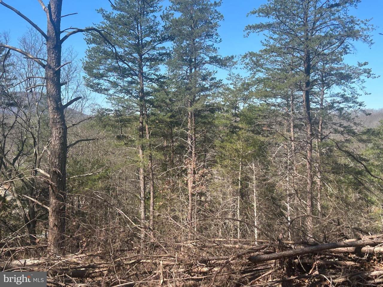  Andrews Road - Photo 1