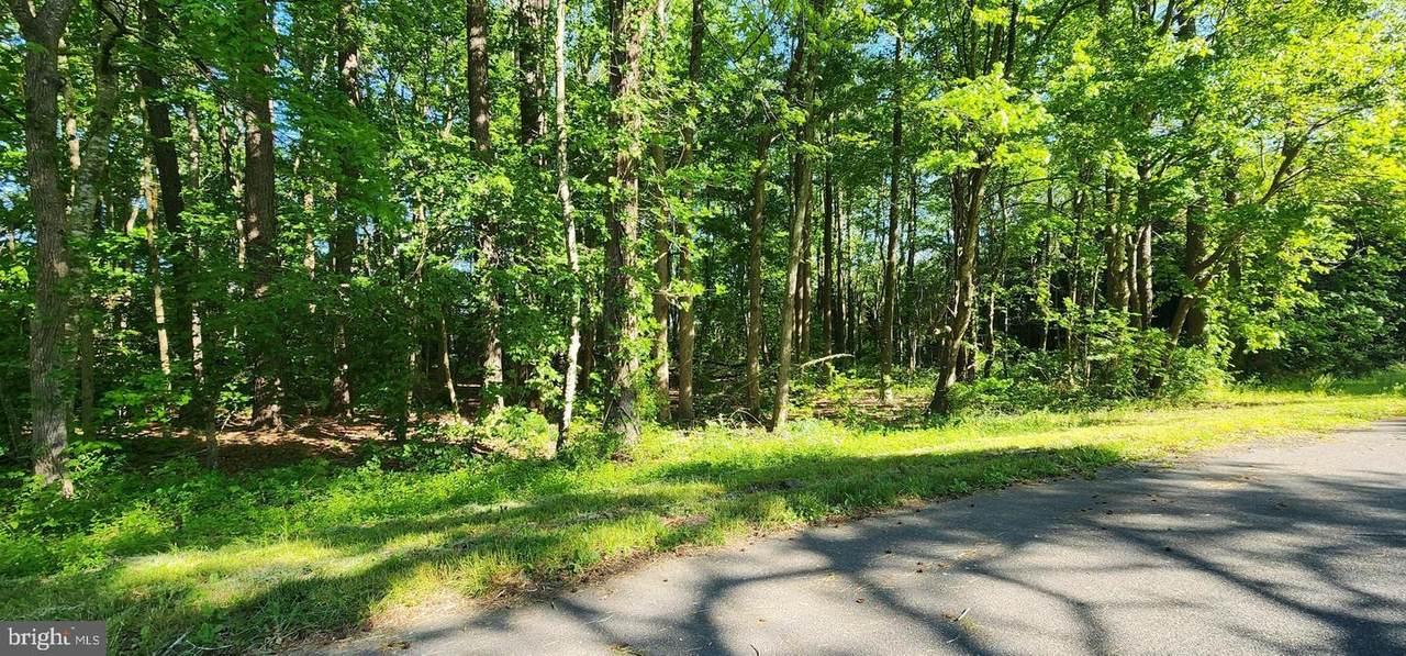 Lot 4 Keep - Photo 1