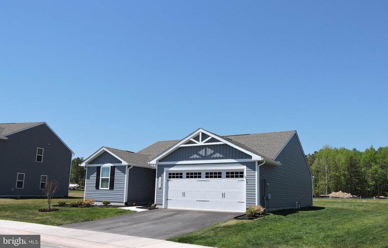 38493 Barberry Street - Photo 1