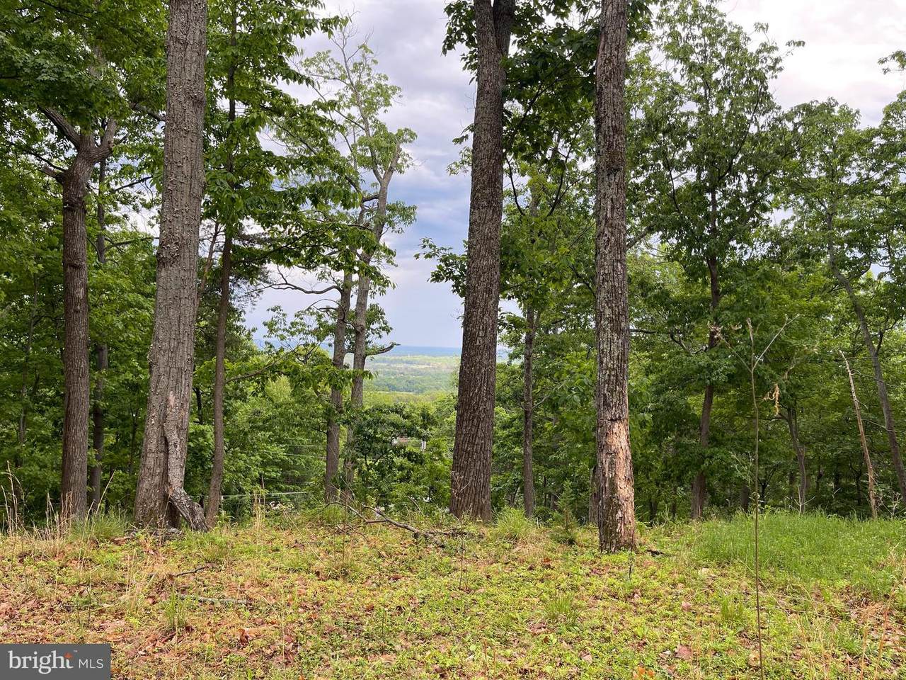 16207 Sumney Drive - Photo 1
