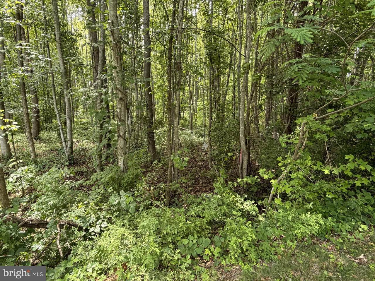 LOT 14 Overton Dr - Photo 1