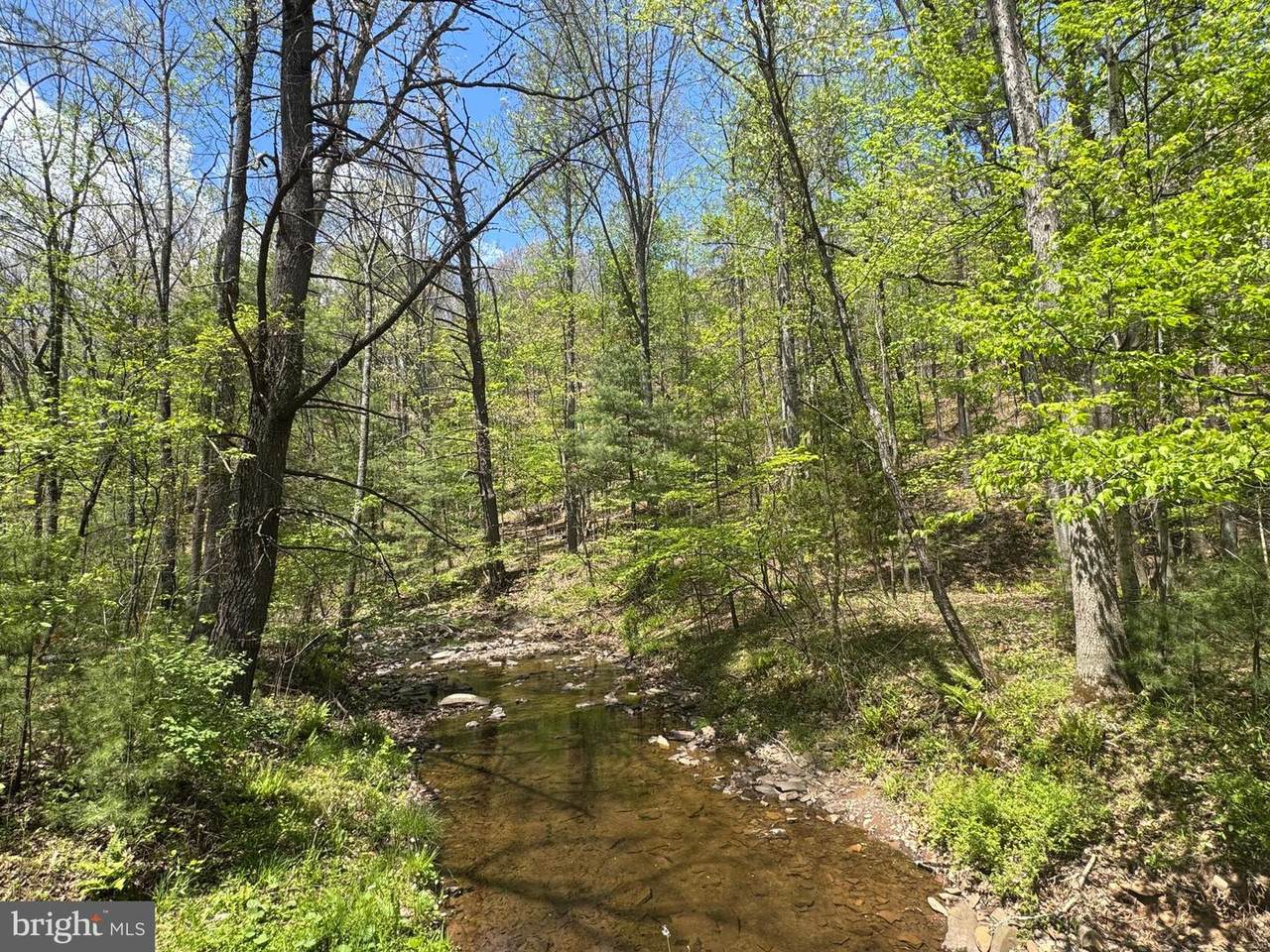 0 Shockeysville Road - Photo 1