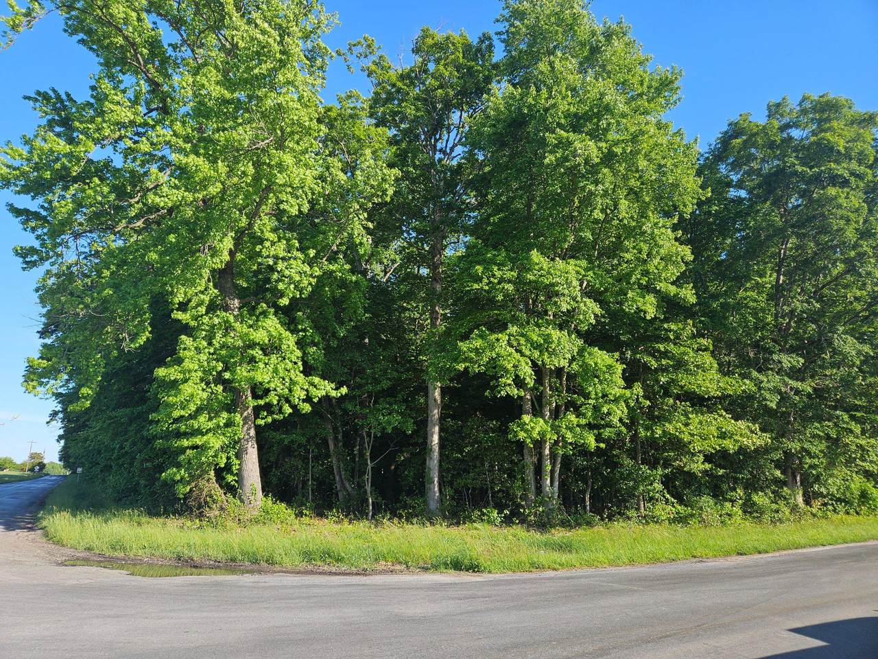 Lot 1 Sunset Avenue - Photo 1