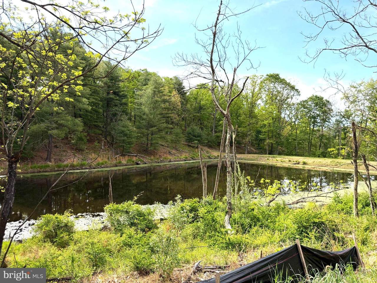 Lot 1 Crested Mountain Lane - Photo 1