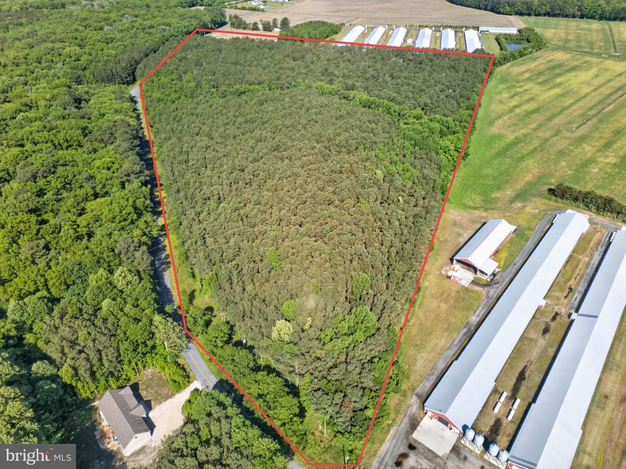  Johnson Neck Road - Photo 1