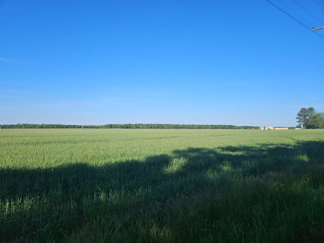 https://bt-photos.global.ssl.fastly.net/brightmls/1280_boomver_1_804925294172-2.jpg