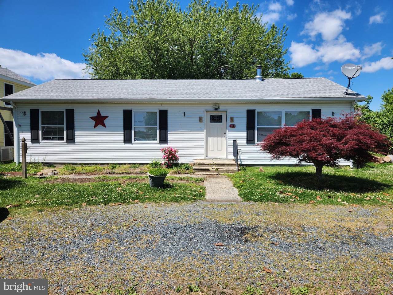 203 Canton Street - Photo 1