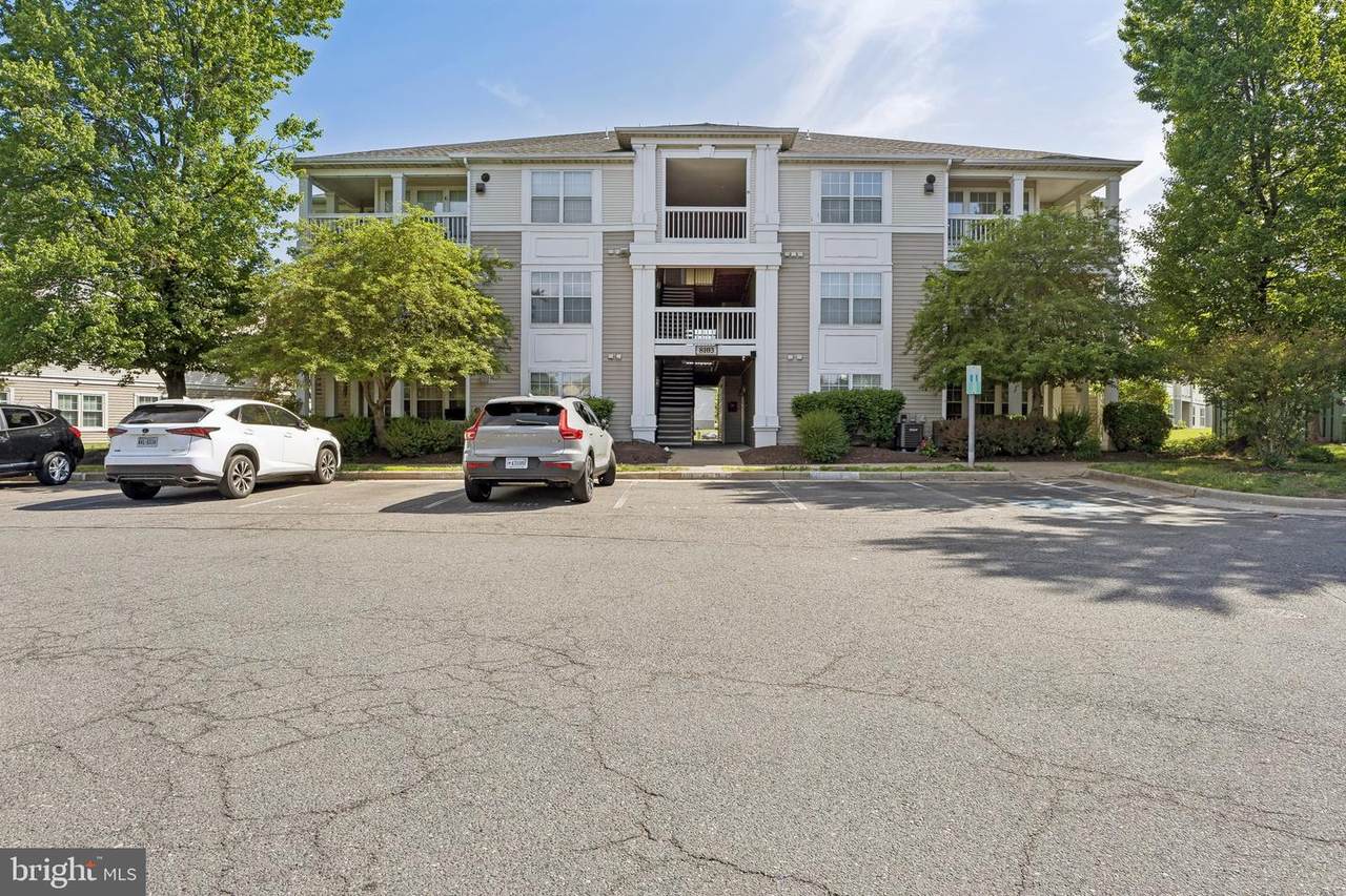 8103 Lacy Drive - Photo 1