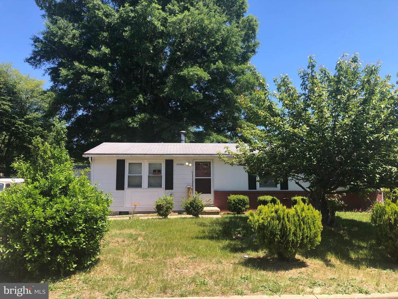 22060 Baja Lane - Photo 1
