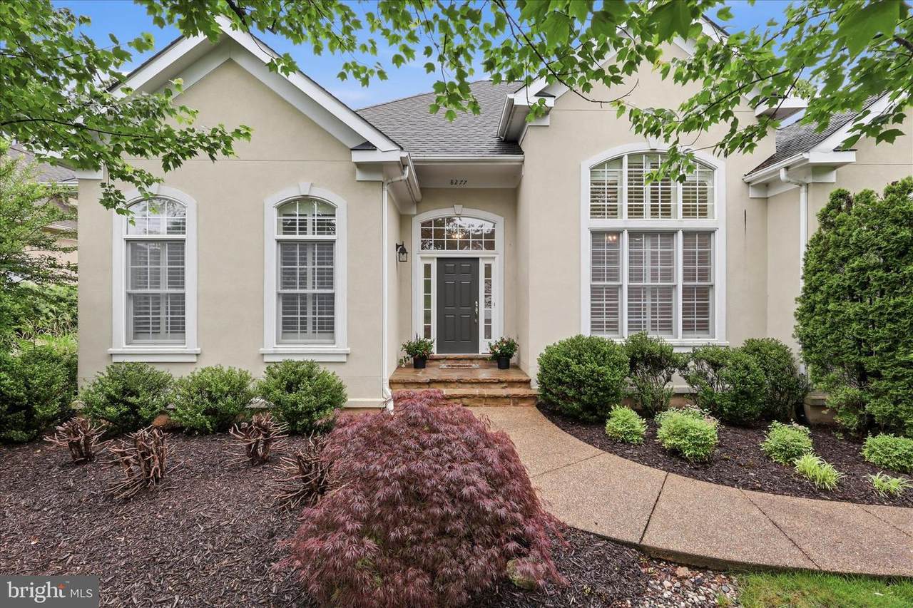 8277 Roxborough Loop - Photo 1