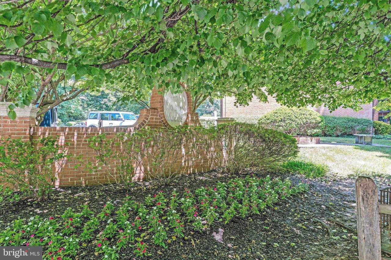 10167 Fair Woods Drive - Photo 1