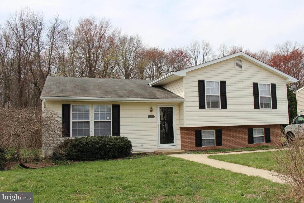 8638 Chester Court - Photo 1