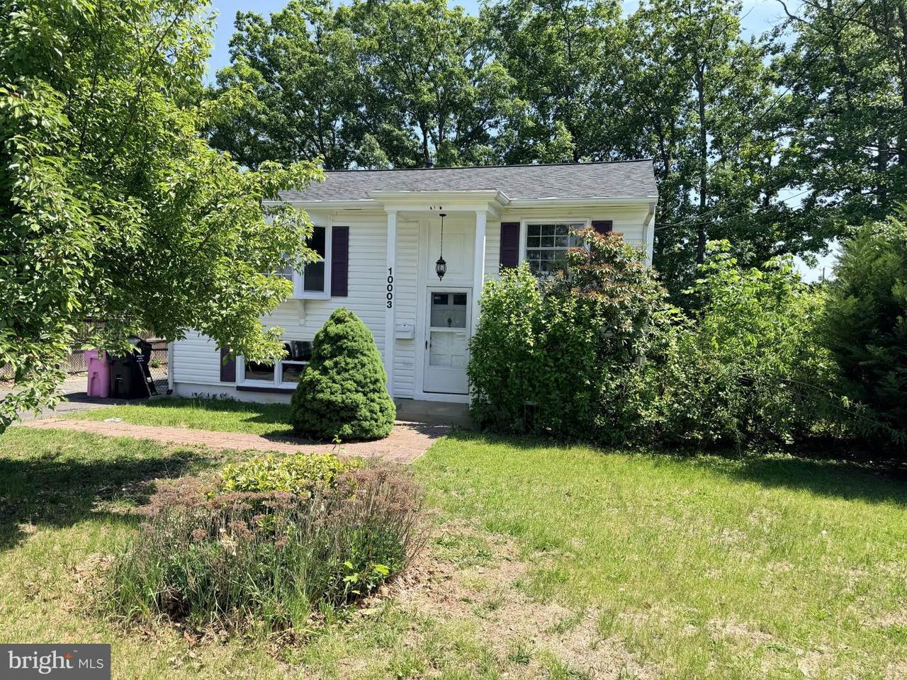 10003 Lomond - Photo 1