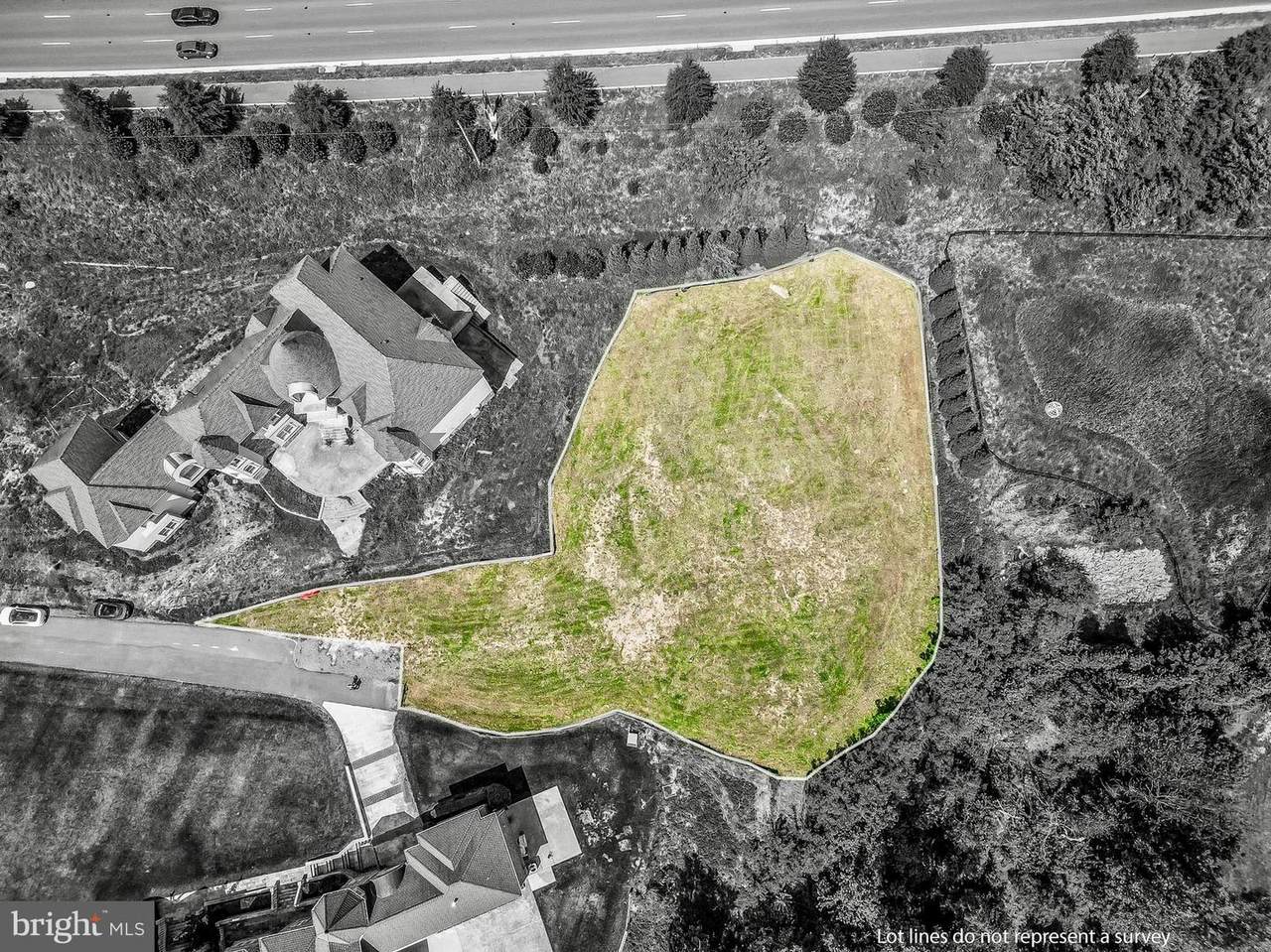 11703 Sugarland Road - Photo 1