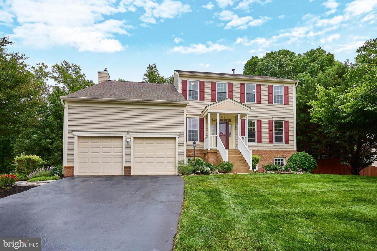 8695 Ruby Rise Place - Photo 1