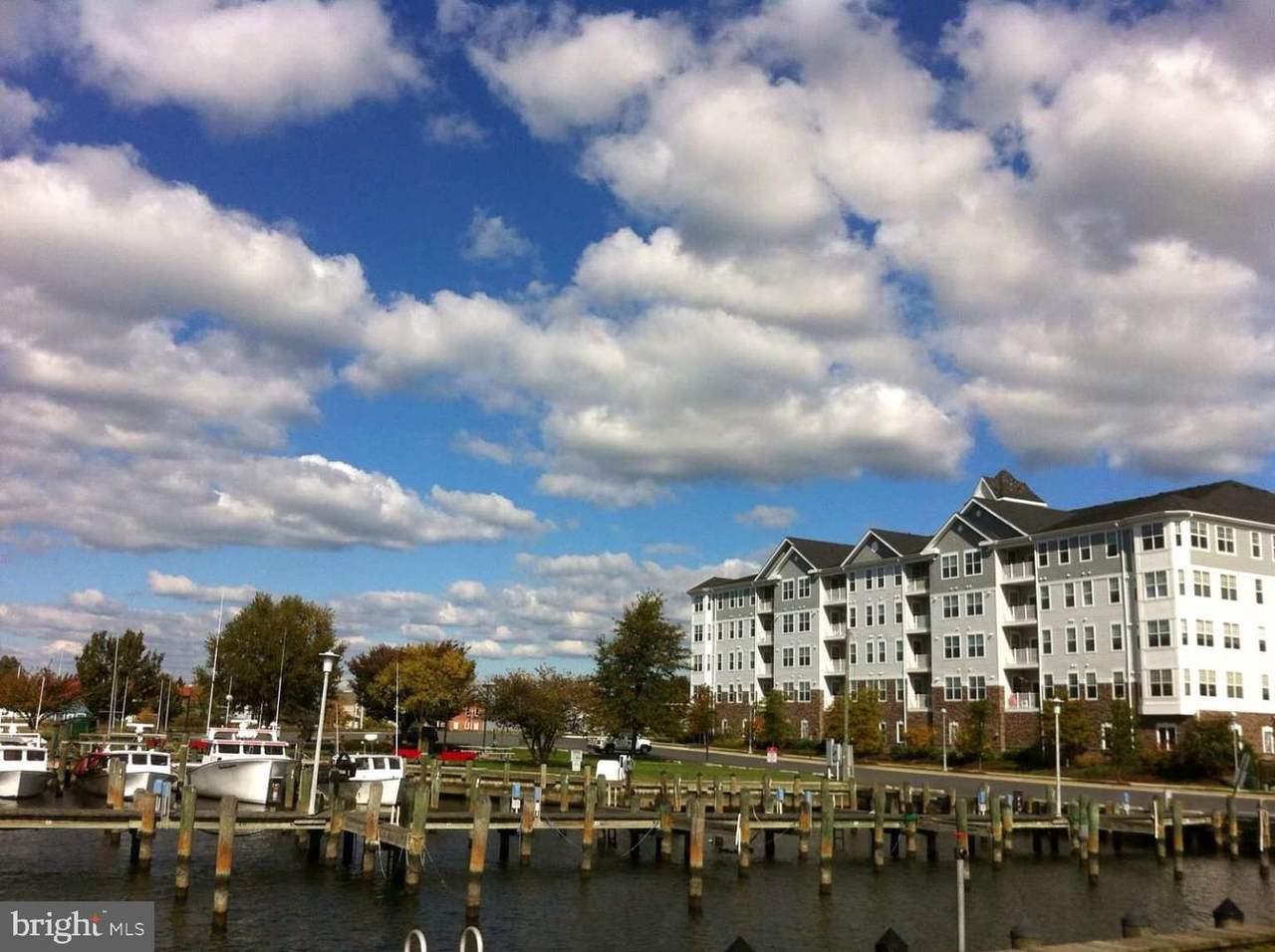 700 Cattail Cove - Photo 1