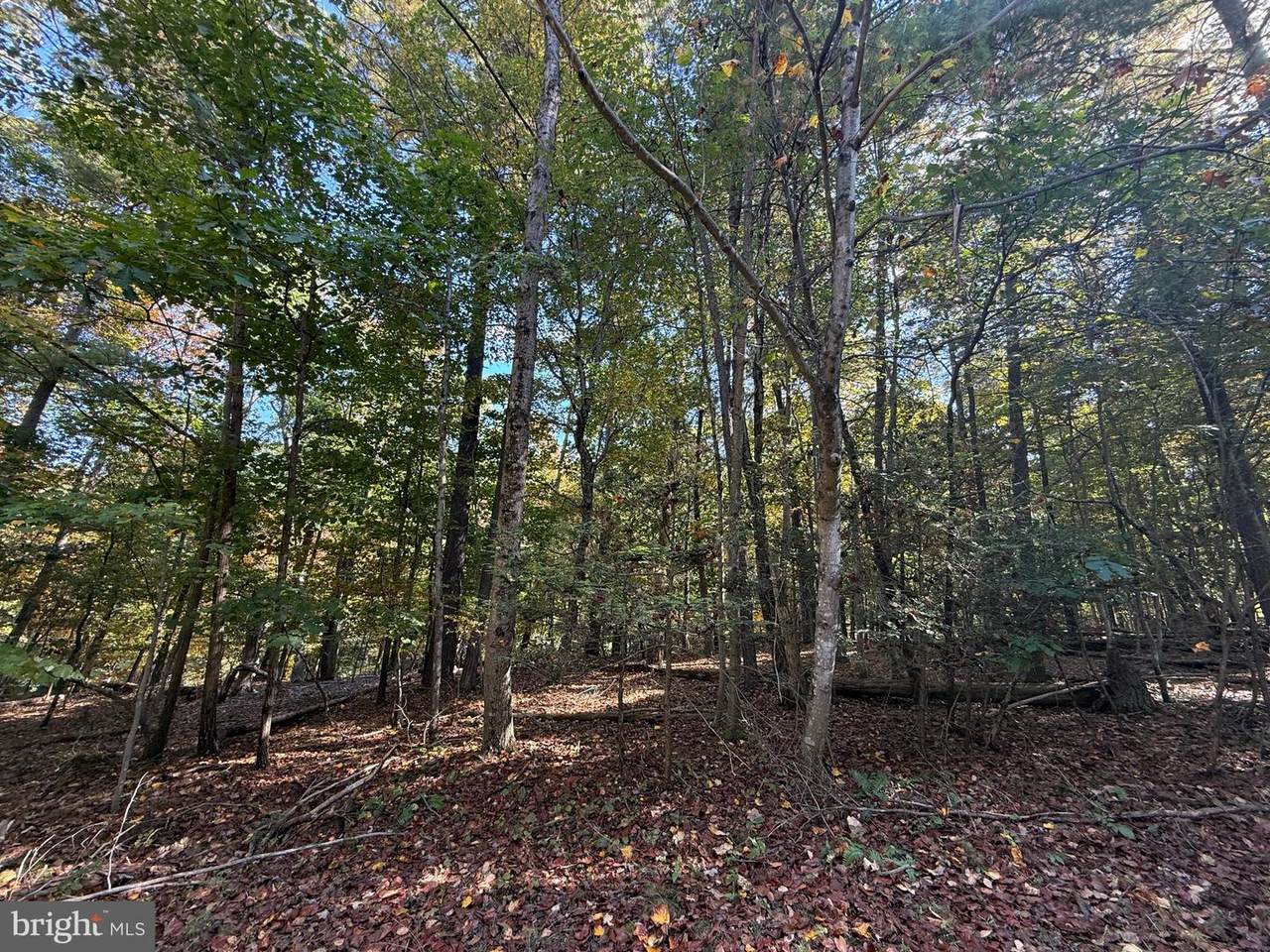 102 Southwood - Photo 1