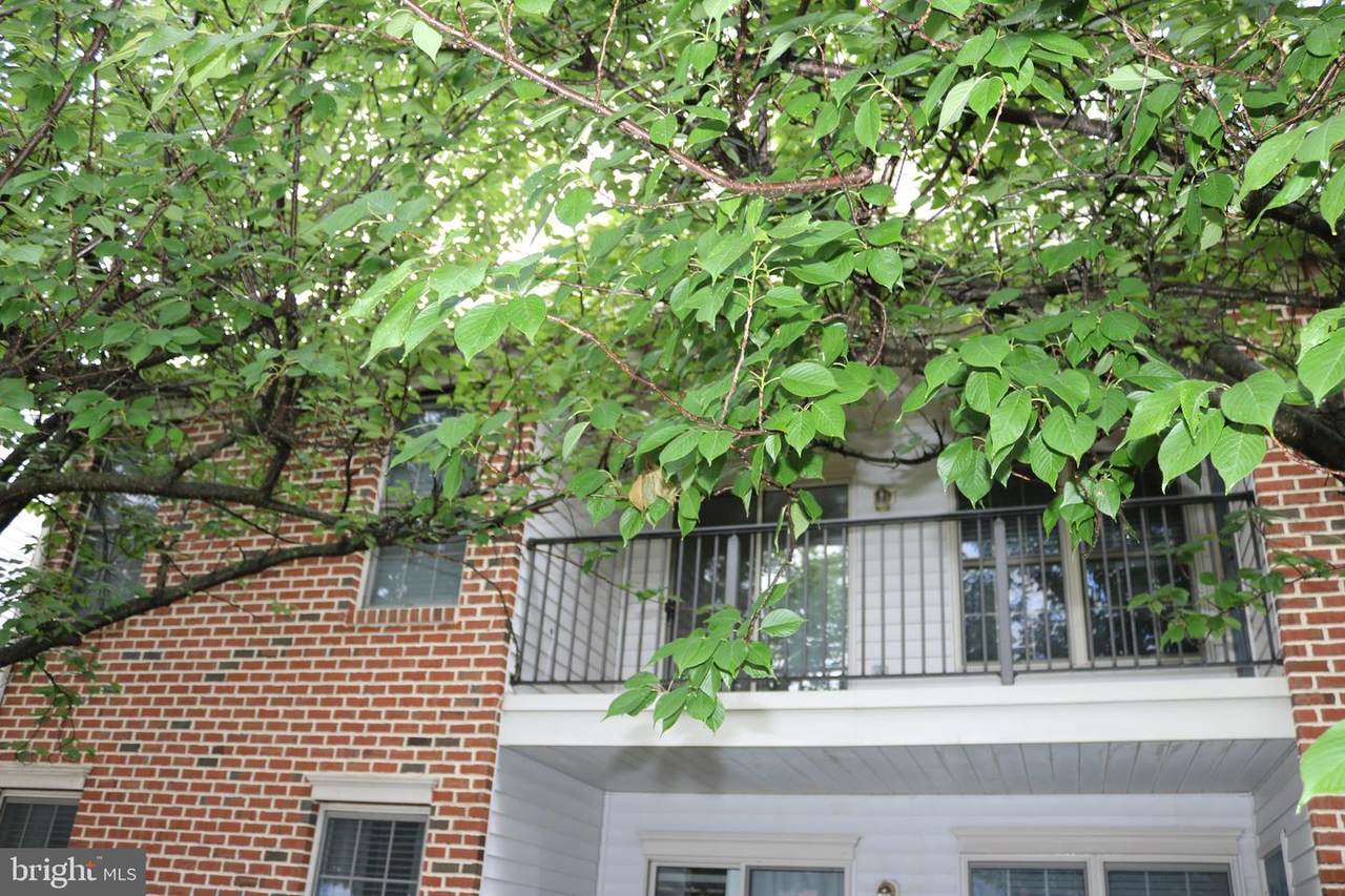 5401 Oxford Drive - Photo 1