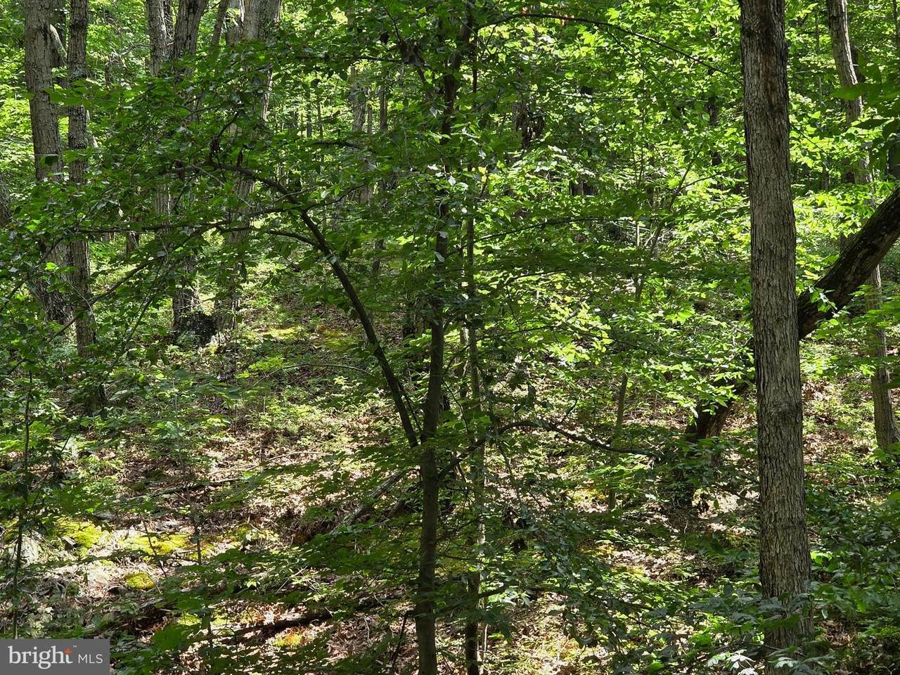  Hillandale Rd Lot 31 - Photo 1
