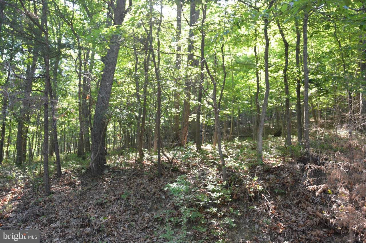 3 Lots - 59, 60, 61 Baldwin Road - Photo 1