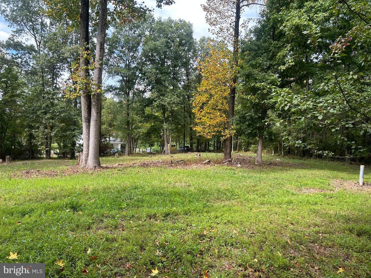 10801 Electric Avenue - Photo 1