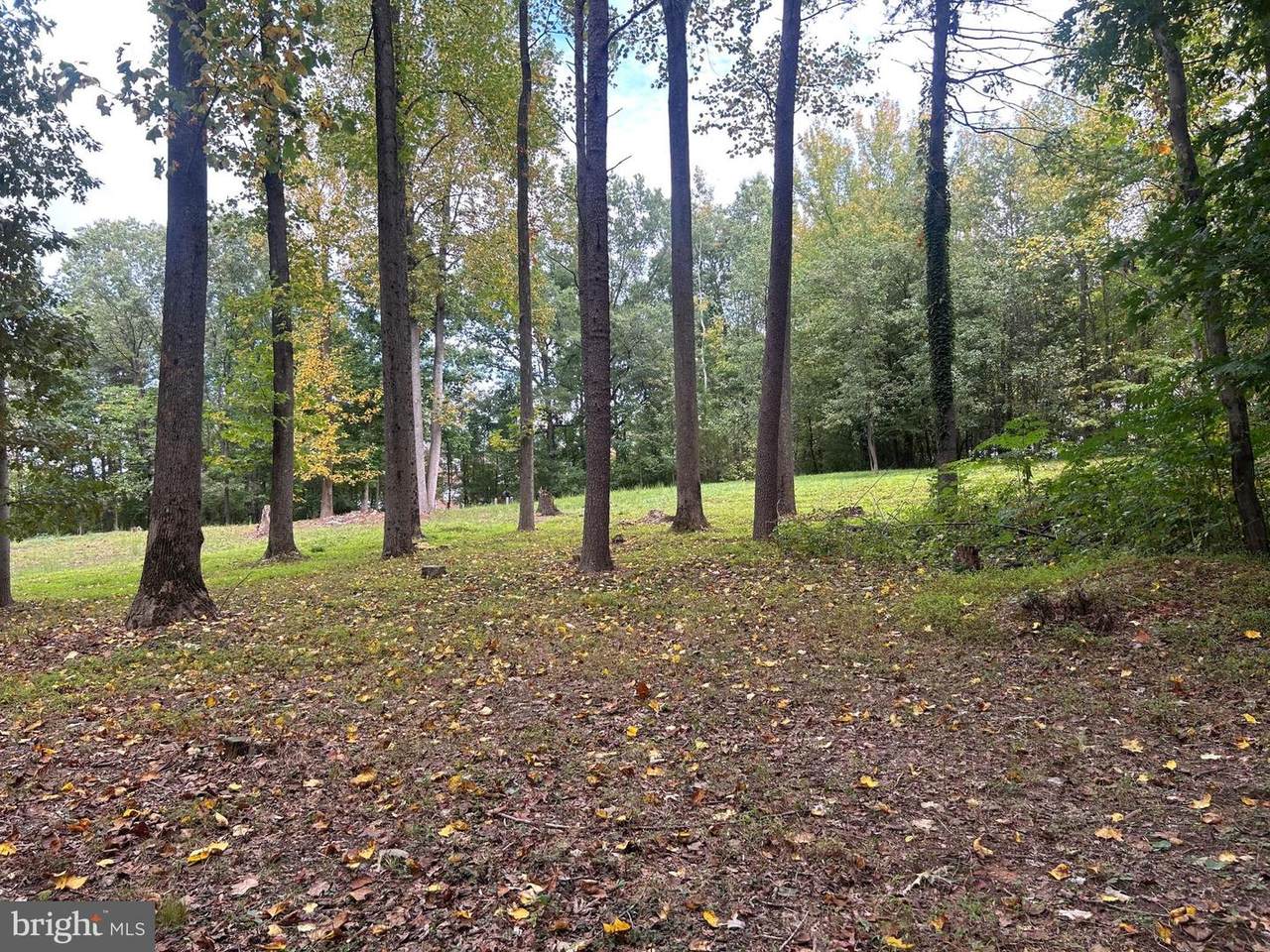 https://bt-photos.global.ssl.fastly.net/brightmls/1280_boomver_1_804966915504-2.jpg