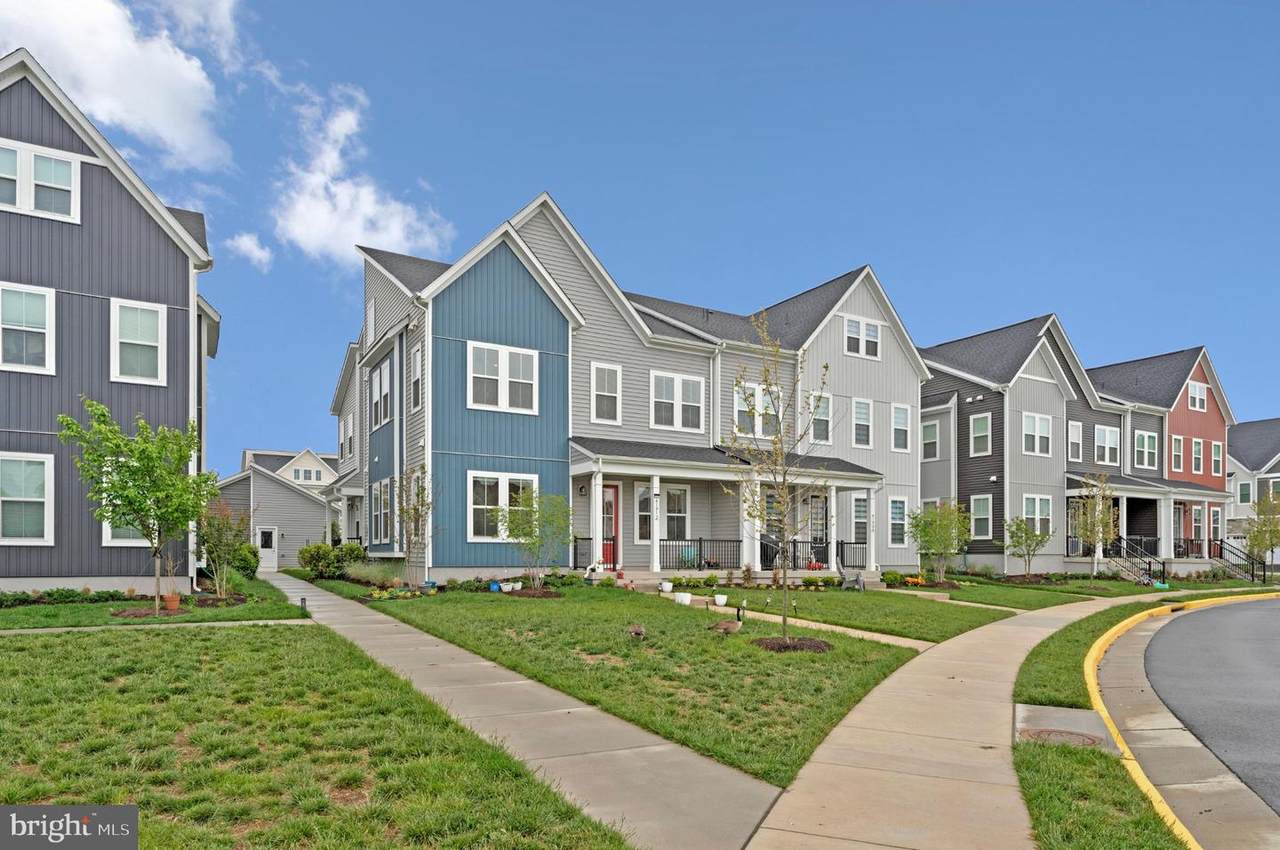41912 Hogan Forest Terrace - Photo 1