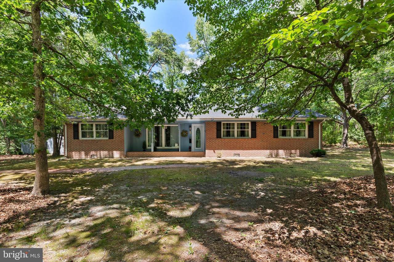 3821 Nassawango Hills Drive - Photo 1