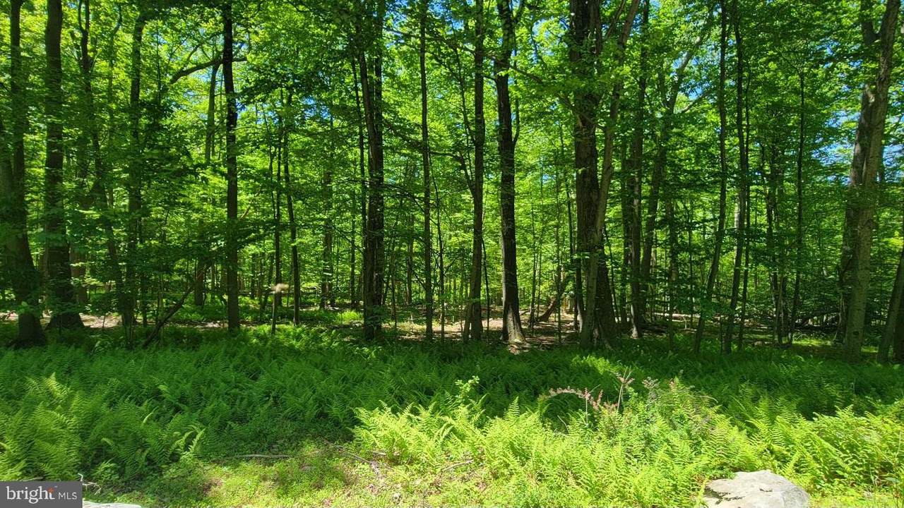  Mink Farm Road - Photo 1