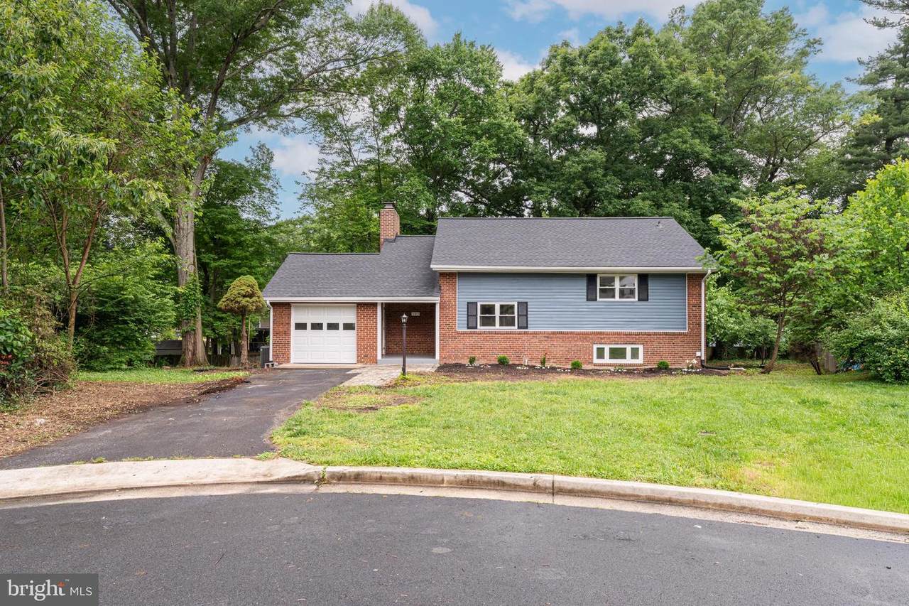 10915 Maple Street - Photo 1